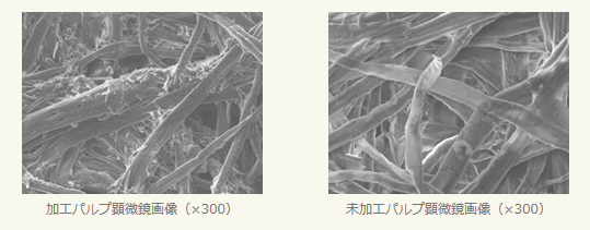 荃芬产品显微镜放大对比图